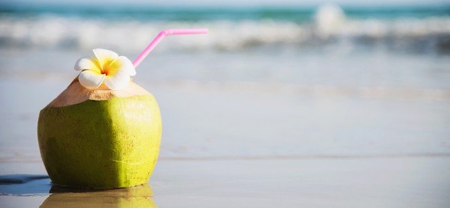 Tender coconut water powder uses