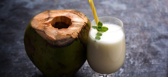 coconut water powder wholesale