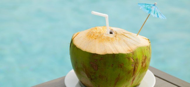 freeze dried coconut water powder