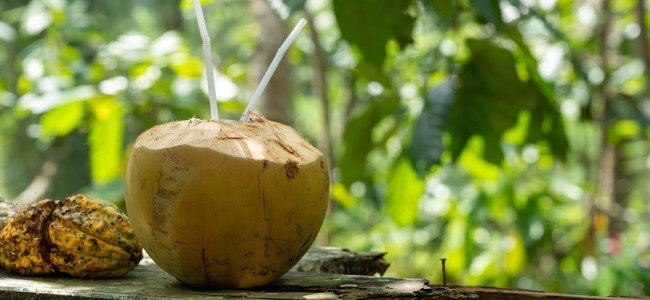 private label coconut water powder manufacturer