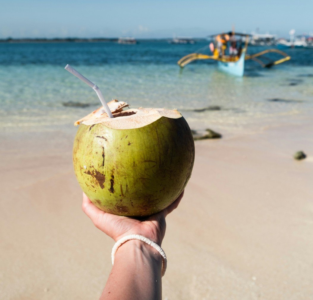 spray dried coconut water powder