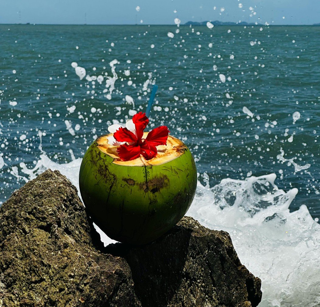 coconut water powder manufacturer in india